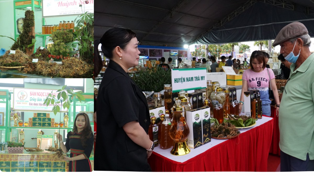 Dược liệu Quảng Nam: Từ sinh kế vùng cao Dược liệu Quảng Nam: Từ sinh kế vùng cao