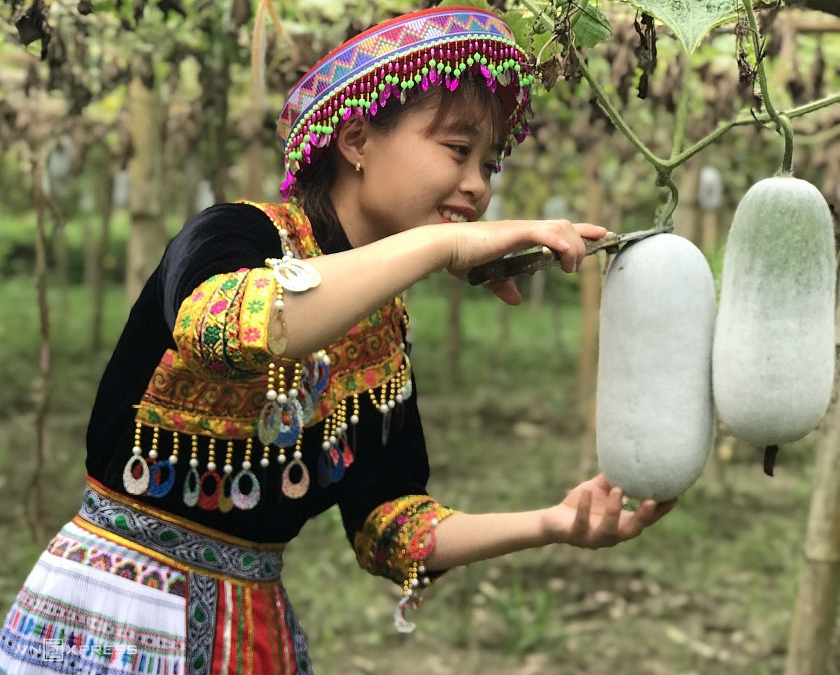 Bắc Kạn nhân lên hiệu quả tiêu thụ sản phẩm của đồng bào nhờ mô hình thương mại mới Bắc Kạn nhân lên hiệu quả tiêu thụ sản phẩm của đồng bào nhờ mô hình thương mại mới