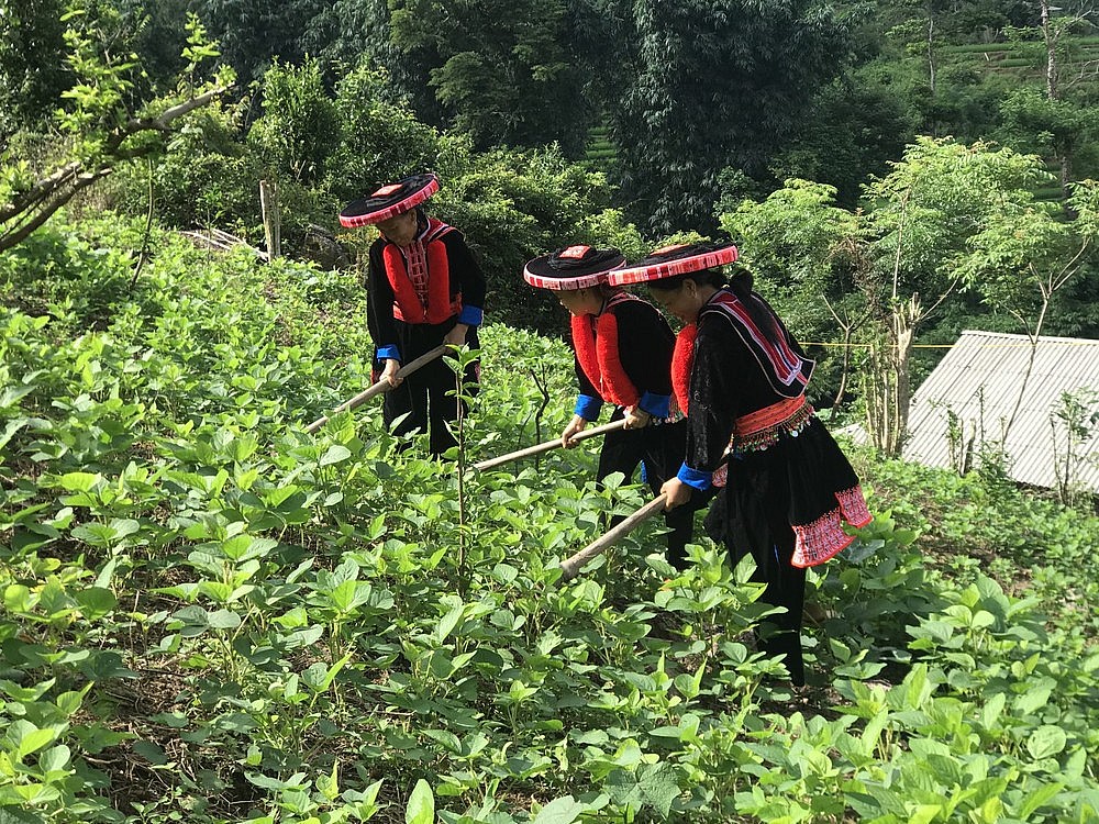 Bắc Kạn nhân lên hiệu quả tiêu thụ sản phẩm của đồng bào nhờ mô hình thương mại mới Bắc Kạn nhân lên hiệu quả tiêu thụ sản phẩm của đồng bào nhờ mô hình thương mại mới