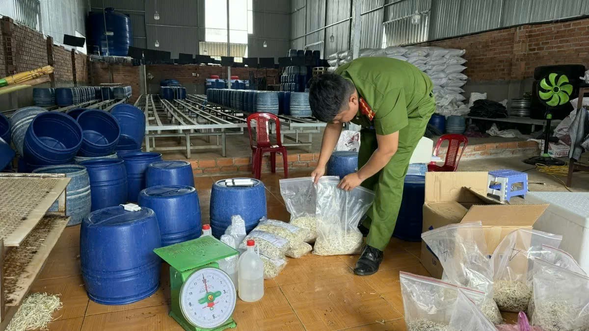 Thực phẩm bẩn tràn lan: Người tiêu dùng vô can? Thực phẩm bẩn tràn lan: Người tiêu dùng vô can?