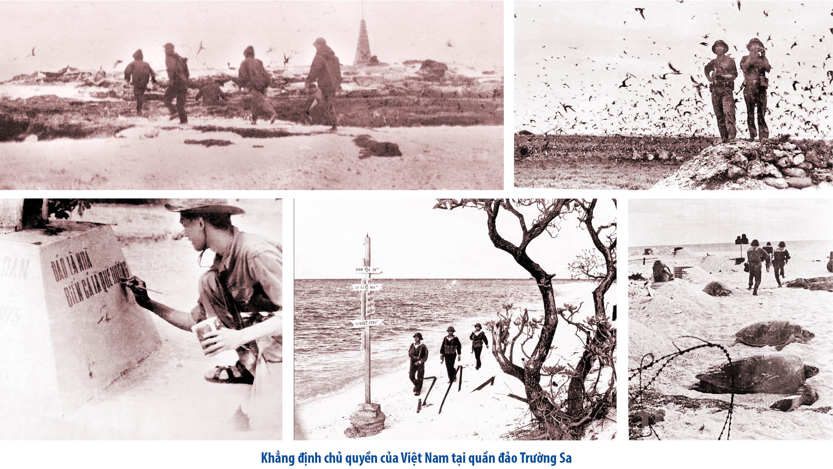 Trường Sa: 50 năm giữ vững biển đảo Tổ quốc Trường Sa: 50 năm giữ vững biển đảo Tổ quốc