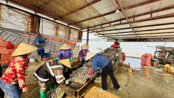 15 ngân hàng dành 100.000 tỷ đồng cho vay nông, lâm, thủy sản