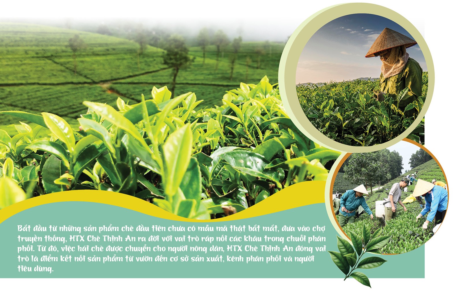 Longform | Khi sản phẩm vùng cao ‘kể chuyện’