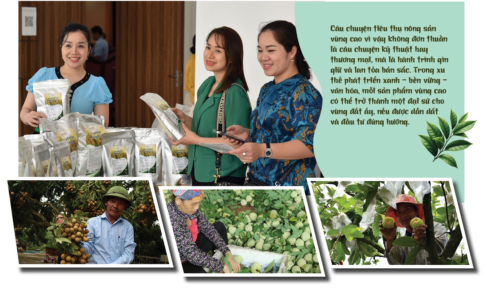 Longform | Khi sản phẩm vùng cao ‘kể chuyện’