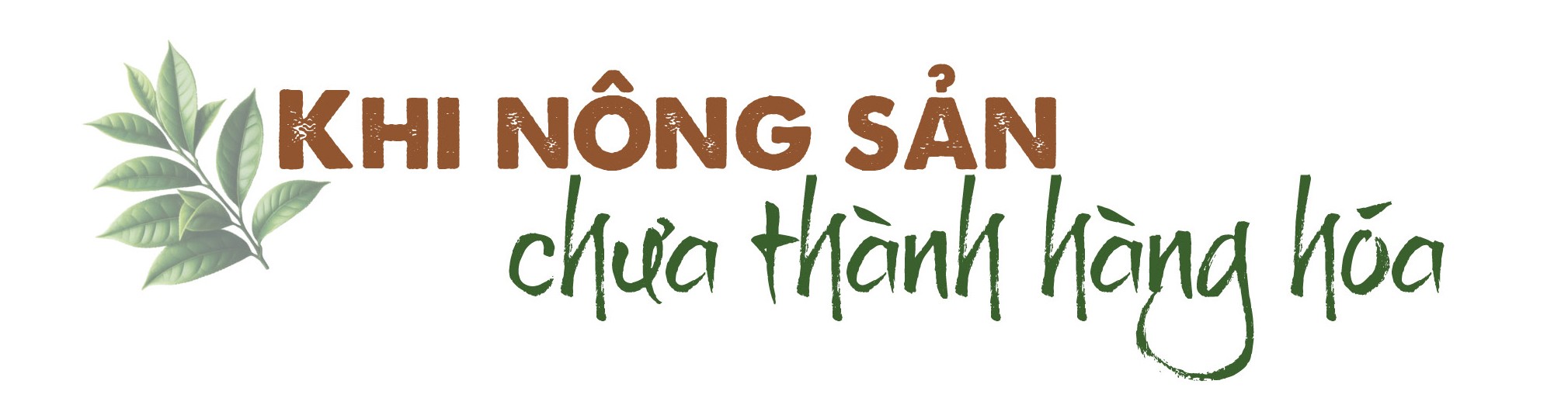 Longform | Khi sản phẩm vùng cao ‘kể chuyện’