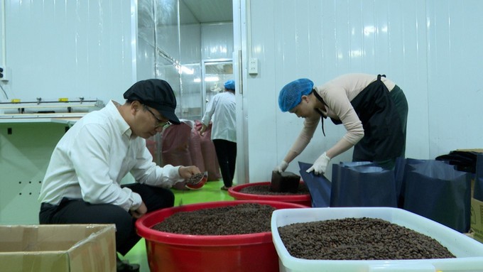 Cà phê đặc sản Gia Lai Cà phê đặc sản Gia Lai