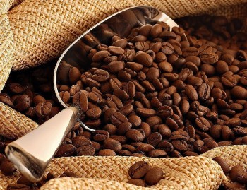 Cà phê, hạt điều, thủy sản xuất khẩu sang Hà Lan tăng mạnh trong quý I/2025