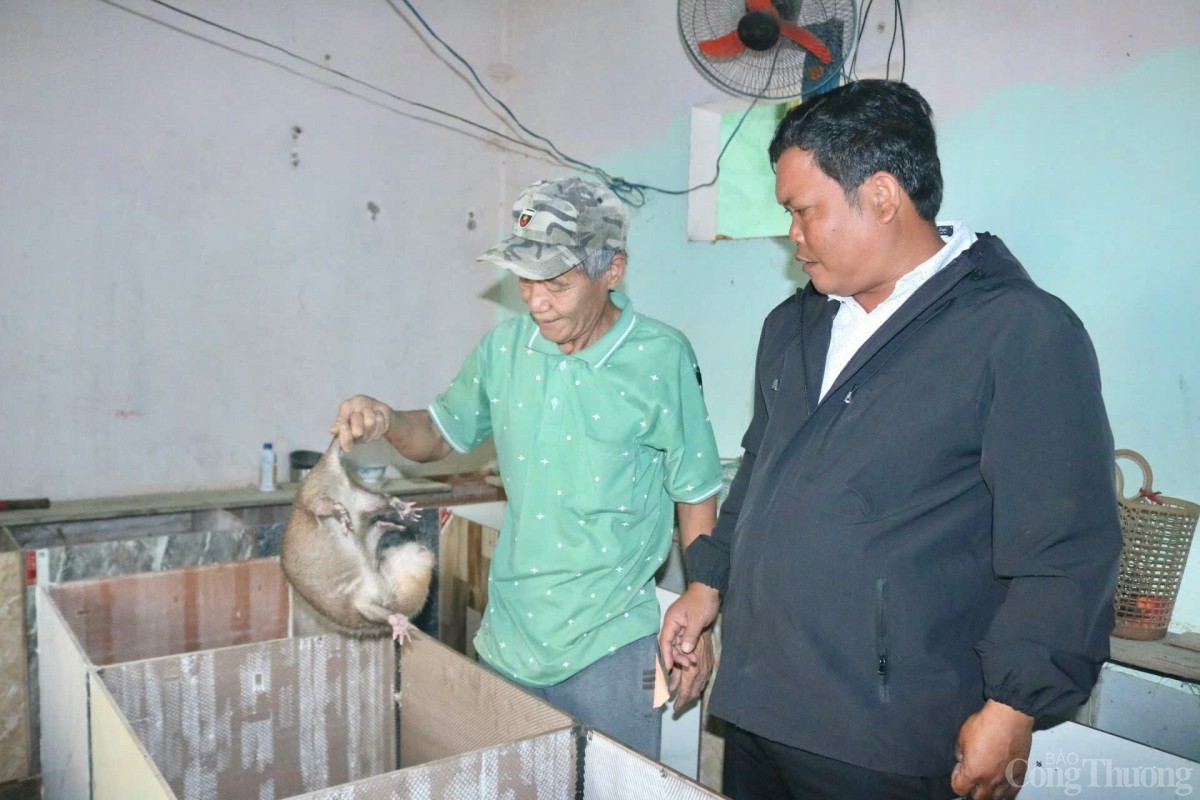 Người cao tuổi Kon Tum góp sức dựng xây nông thôn mới Người cao tuổi Kon Tum góp sức dựng xây nông thôn mới