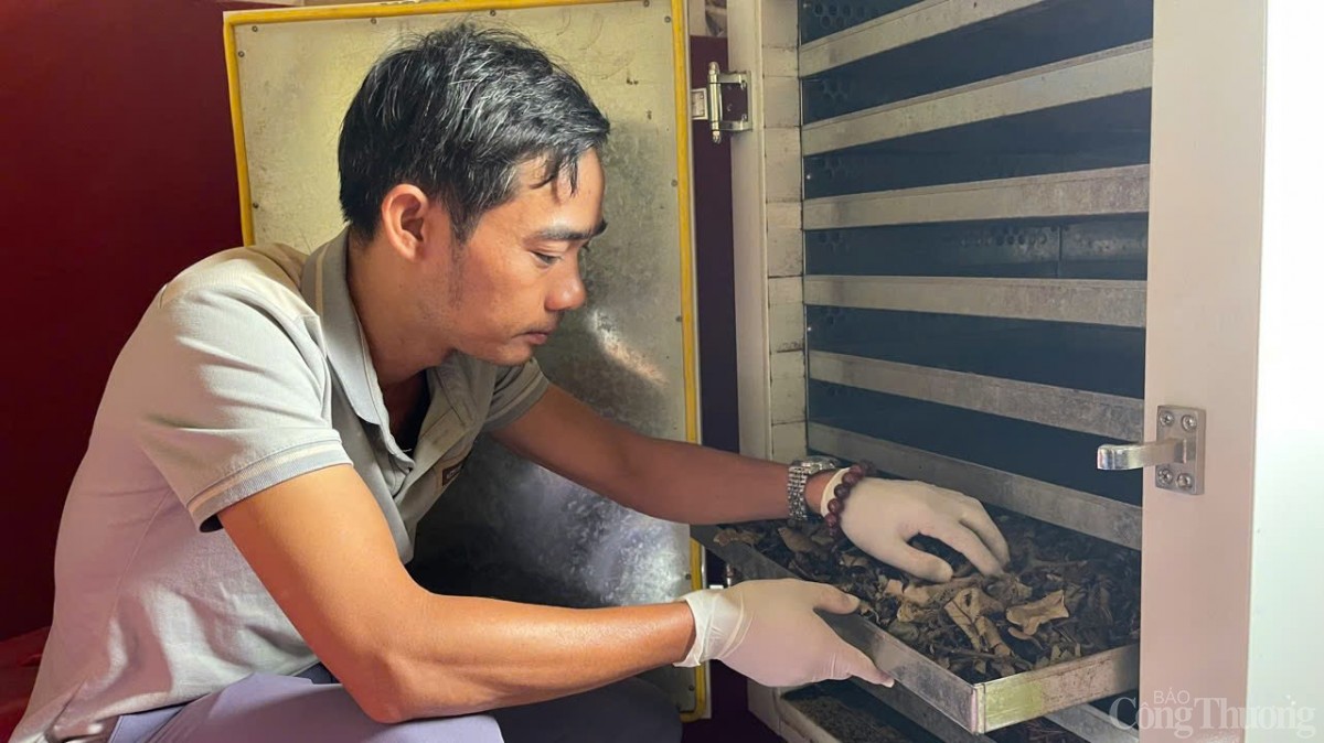 Sản phẩm OCOP địa phương mang khát vọng vươn ra thế giới Sản phẩm OCOP địa phương mang khát vọng vươn ra thế giới