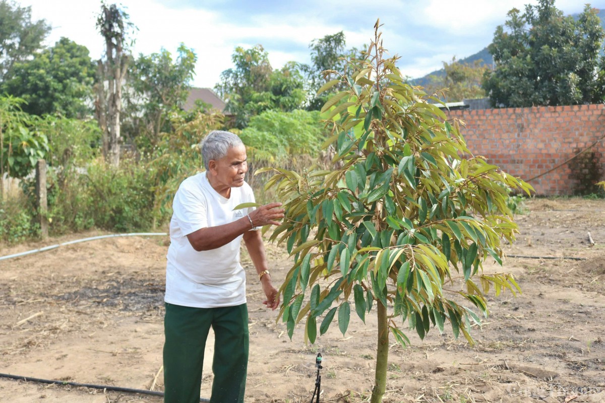 Người cao tuổi Kon Tum góp sức dựng xây nông thôn mới Người cao tuổi Kon Tum góp sức dựng xây nông thôn mới