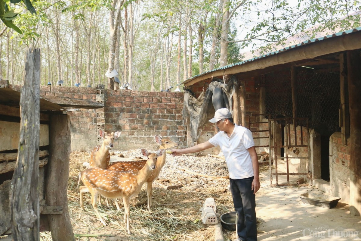 Người cao tuổi Kon Tum góp sức dựng xây nông thôn mới Người cao tuổi Kon Tum góp sức dựng xây nông thôn mới