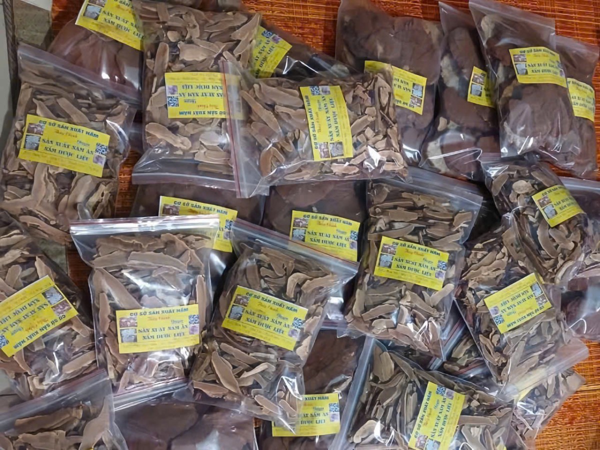 Sản phẩm nấm linh chi Liêm Cần của gia đình chị Thủy có chứa QR nhãn OCOP và Sản phẩm nấm linh chi Liêm Cần của gia đình chị Thủy có chứa QR nhãn OCOP và