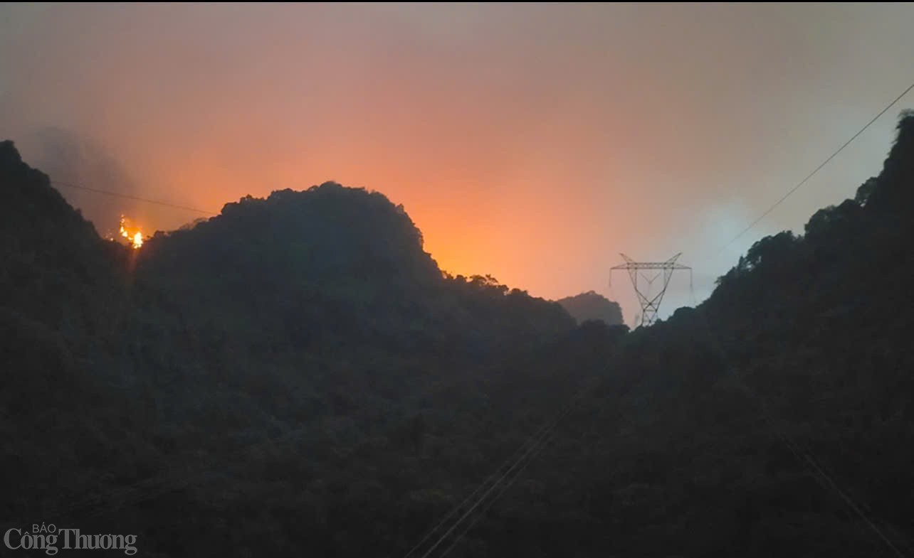 Lưới điện truyền tải không bị ảnh hưởng bởi cháy rừng tại Kim Bảng