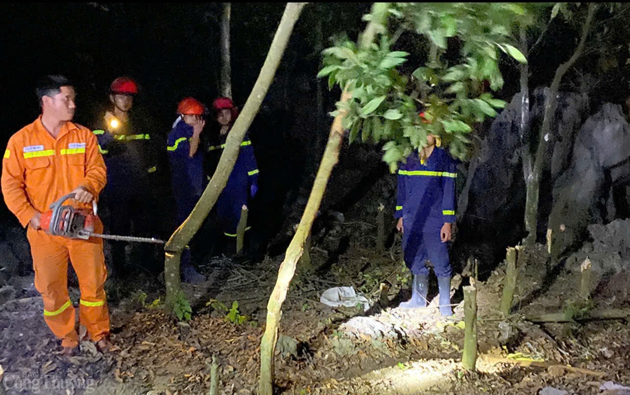 Lưới điện truyền tải không bị ảnh hưởng bởi cháy rừng tại Kim Bảng