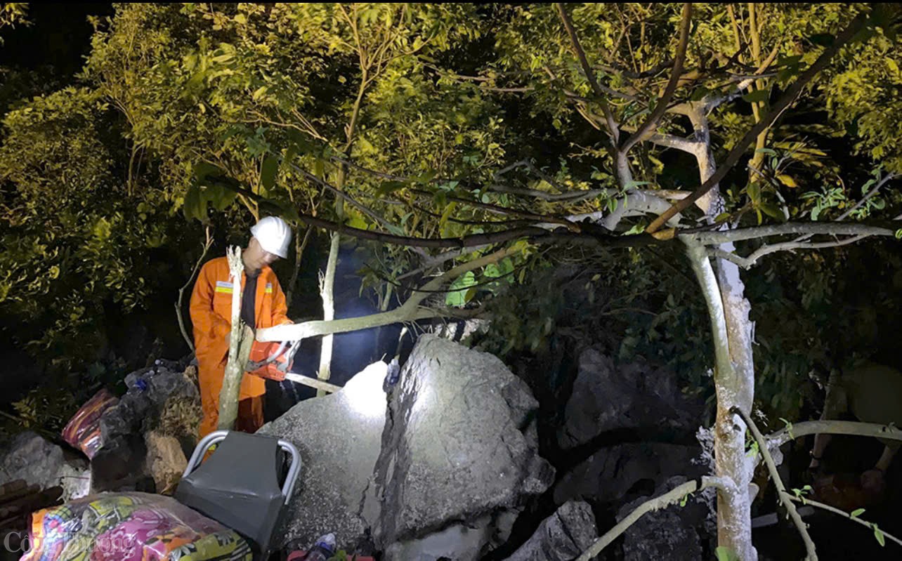 Lưới điện truyền tải không bị ảnh hưởng bởi cháy rừng tại Kim Bảng