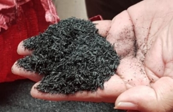 Thị trường carbon: Cánh cửa tỷ đô đã mở