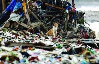 Các 'ông lớn' thế giới quản lý rác thải ra sao?