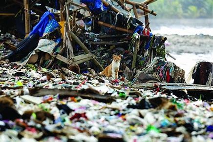 Việt Nam đang phải đối mặt với nhiều thách thức trong việc kiểm soát nguồn phát thải và rác thải. Ảnh minh họa Việt Nam đang phải đối mặt với nhiều thách thức trong việc kiểm soát nguồn phát thải và rác thải. Ảnh minh họa