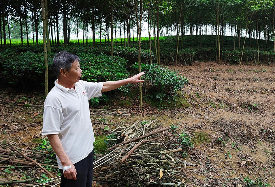 Đường dây 500kV Lào Cai – Vĩnh Yên. Bài 2: Chung sức gỡ nút thắt mặt bằng Đường dây 500kV Lào Cai – Vĩnh Yên. Bài 2: Chung sức gỡ nút thắt mặt bằng