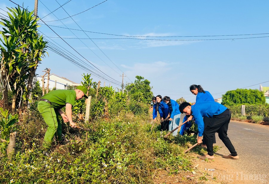 Dấu ấn người trẻ trên hành trình đổi mới nông thôn Dấu ấn người trẻ trên hành trình đổi mới nông thôn