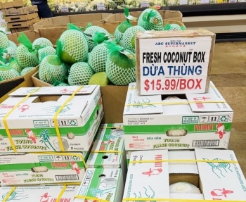 Quý 1/2025 xuất khẩu rau quả sụt giảm