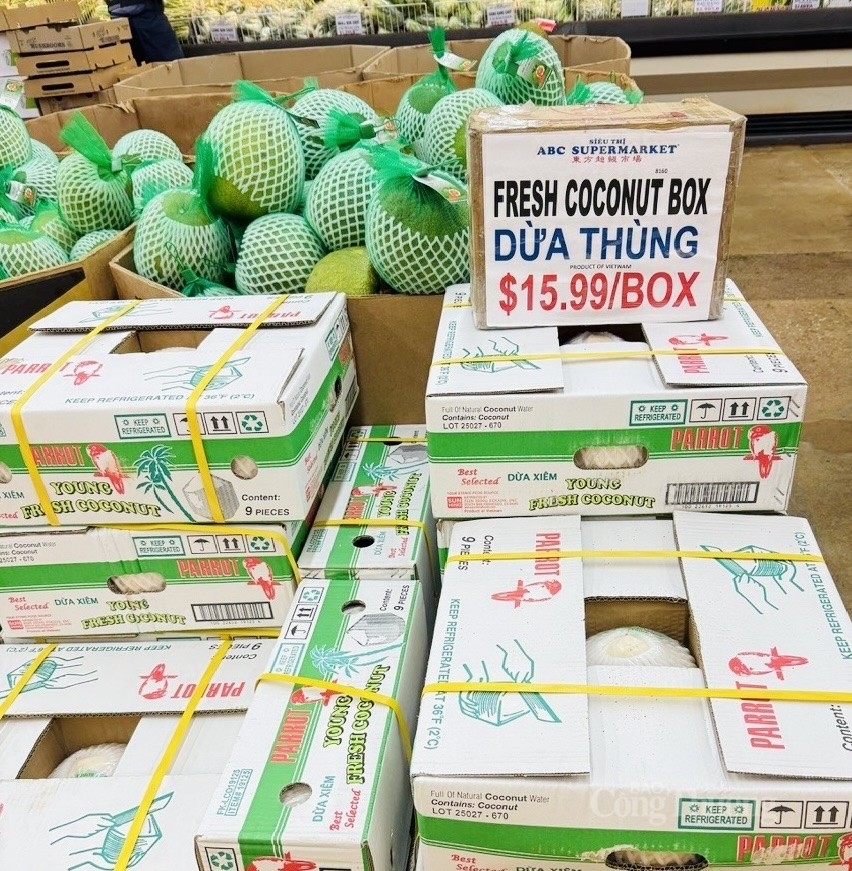 Dừa tươi Việt Nam bán tại siêu thị Hoa Kỳ. Ảnh: Phúc Nguyên Dừa tươi Việt Nam bán tại siêu thị Hoa Kỳ. Ảnh: Phúc Nguyên