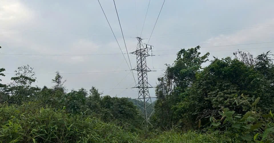 Lào Cai chủ động khắc phục suy hao cáp quang ngành điện