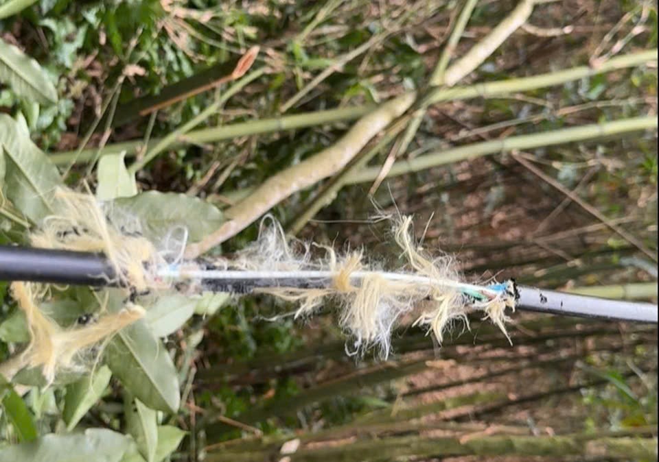 Lào Cai chủ động khắc phục suy hao cáp quang ngành điện