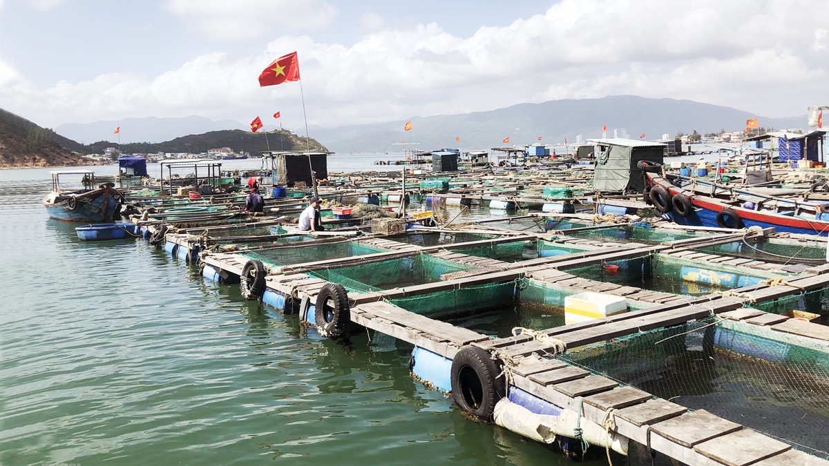 Cà Mau: Từ chỉ số FTA Index đến tư duy hành động Cà Mau: Từ chỉ số FTA Index đến tư duy hành động - 2