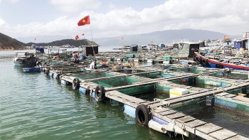 Cà Mau: Từ chỉ số FTA Index đến tư duy hành động