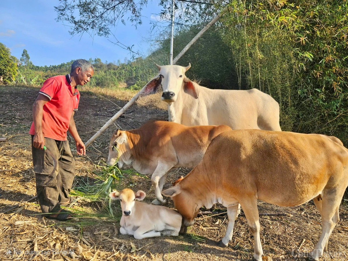 chương trình nông thôn mới