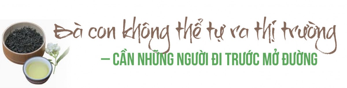 Longform | Chè Thịnh An: Thương hiệu được ‘chưng cất’ từ khát vọng vùng cao