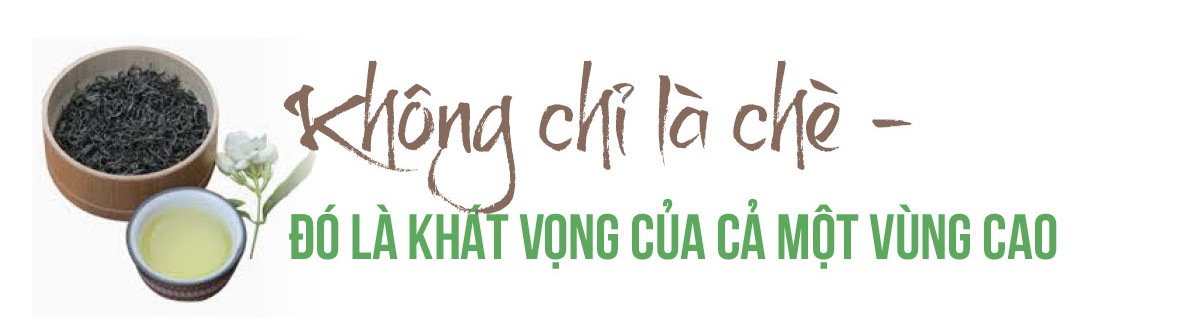 Longform | Chè Thịnh An: Thương hiệu được ‘chưng cất’ từ khát vọng vùng cao