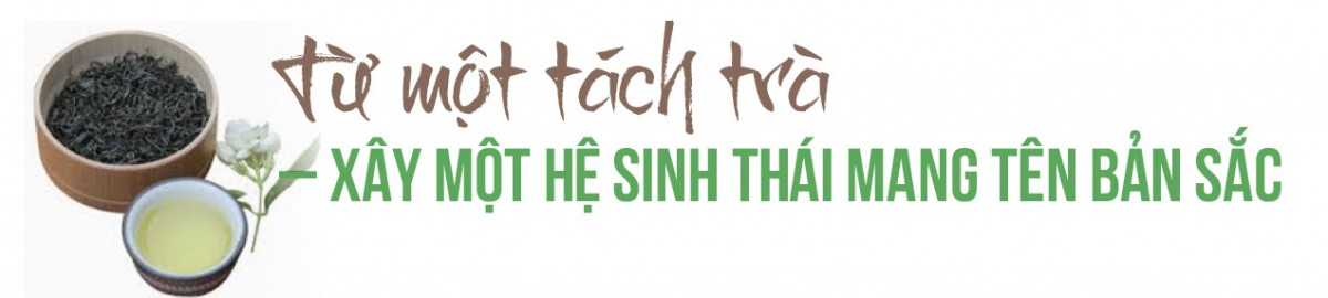 Longform | Chè Thịnh An: Thương hiệu được ‘chưng cất’ từ khát vọng vùng cao