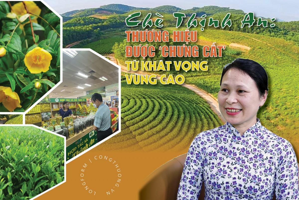 Longform | Chè Thịnh An: Thương hiệu được ‘chưng cất’ từ khát vọng vùng cao