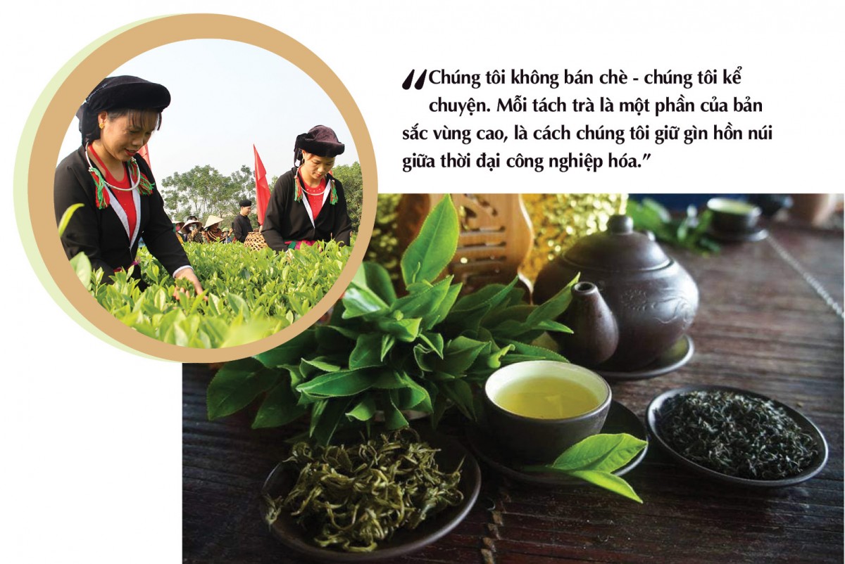 Longform | Chè Thịnh An: Thương hiệu được ‘chưng cất’ từ khát vọng vùng cao