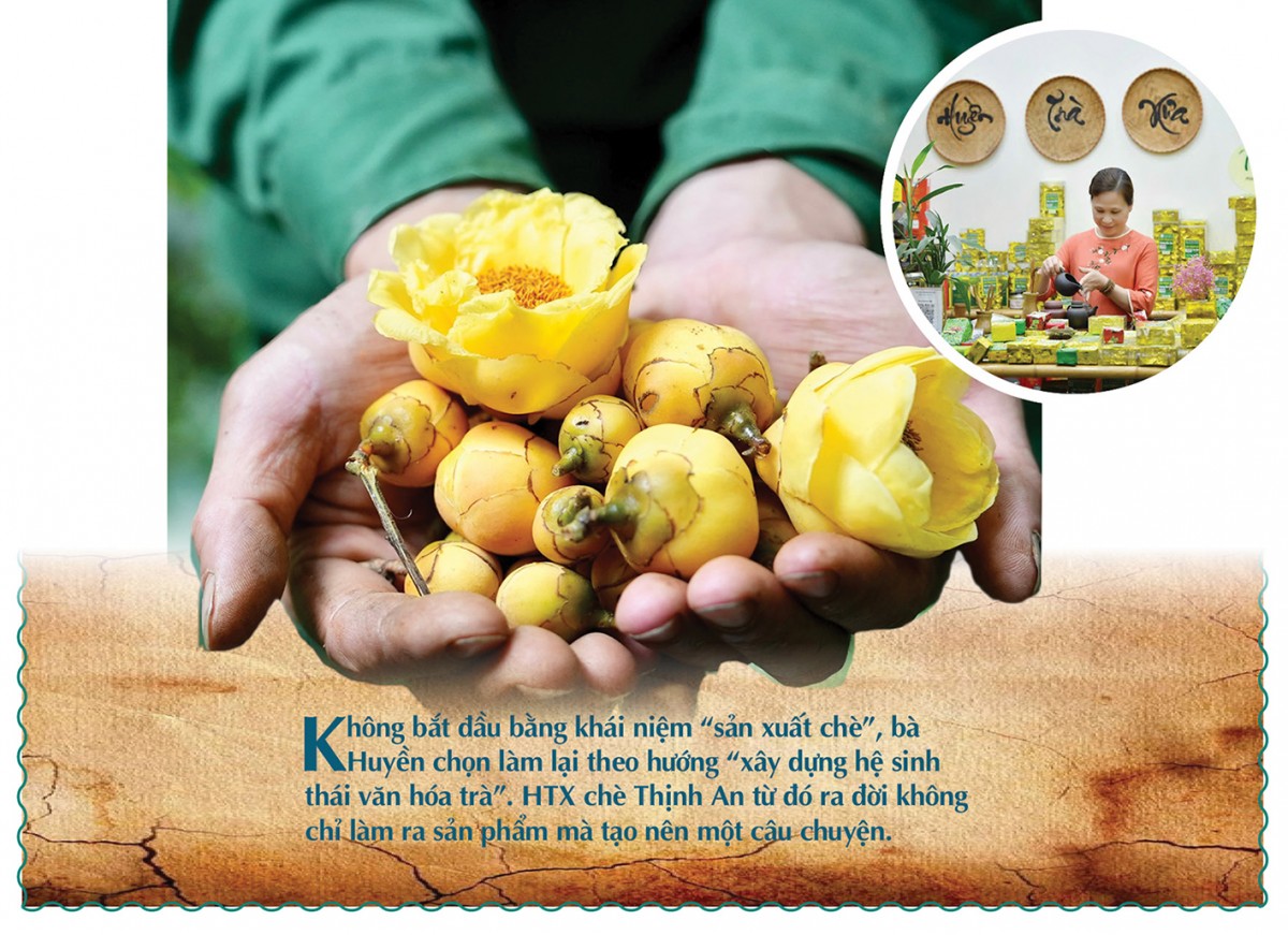 Longform | Chè Thịnh An: Thương hiệu được ‘chưng cất’ từ khát vọng vùng cao