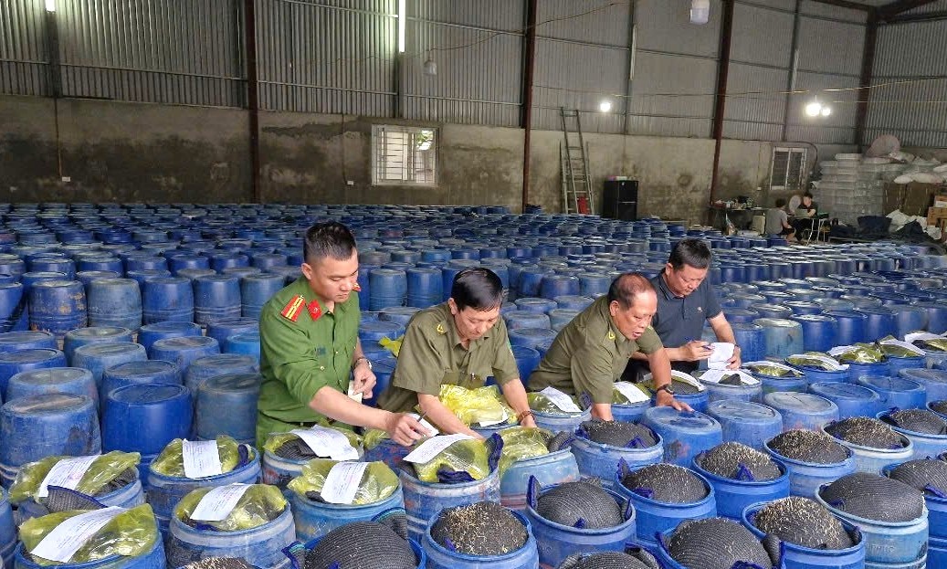 giá đỗ ngâm hóa chất giá đỗ ngâm hóa chất