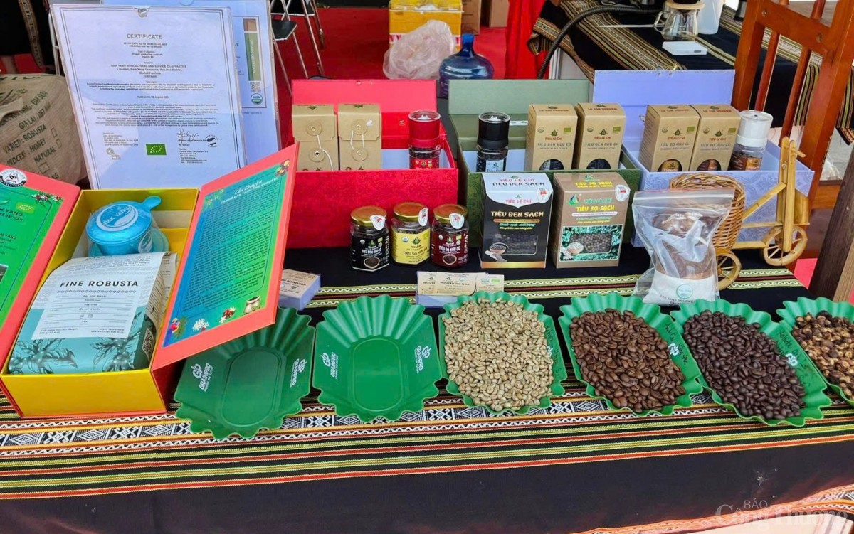 OCOP: Vững chất lượng – Sáng thương hiệu – Chạm niềm tin OCOP: Vững chất lượng – Sáng thương hiệu – Chạm niềm tin