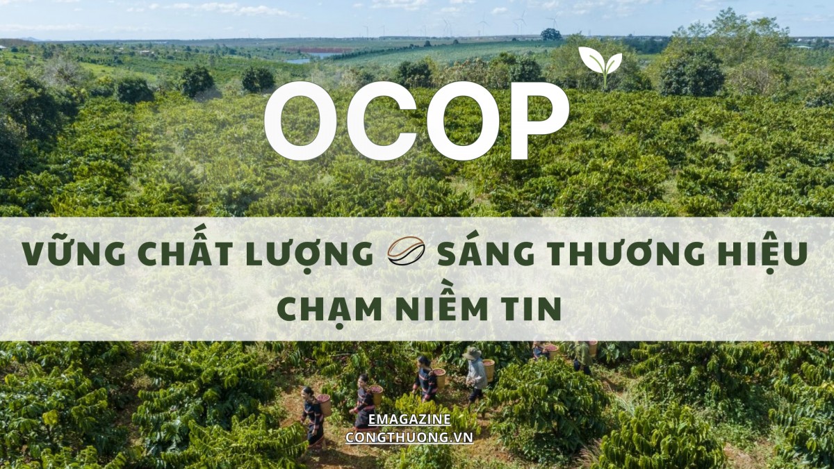 OCOP: Vững chất lượng – Sáng thương hiệu – Chạm niềm tin OCOP: Vững chất lượng – Sáng thương hiệu – Chạm niềm tin