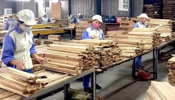 Xuất khẩu gỗ quý I tăng mạnh, đạt gần 4 tỷ USD