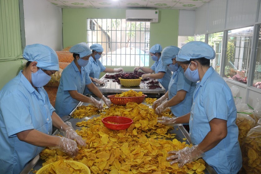 Cần Thơ hợp nhất: Cơ hội bứt phá cho ngành chế biến