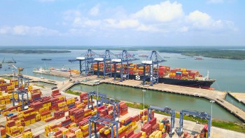 Cảng Việt tăng chuyến, mở tuyến: Cú huých cho logistics