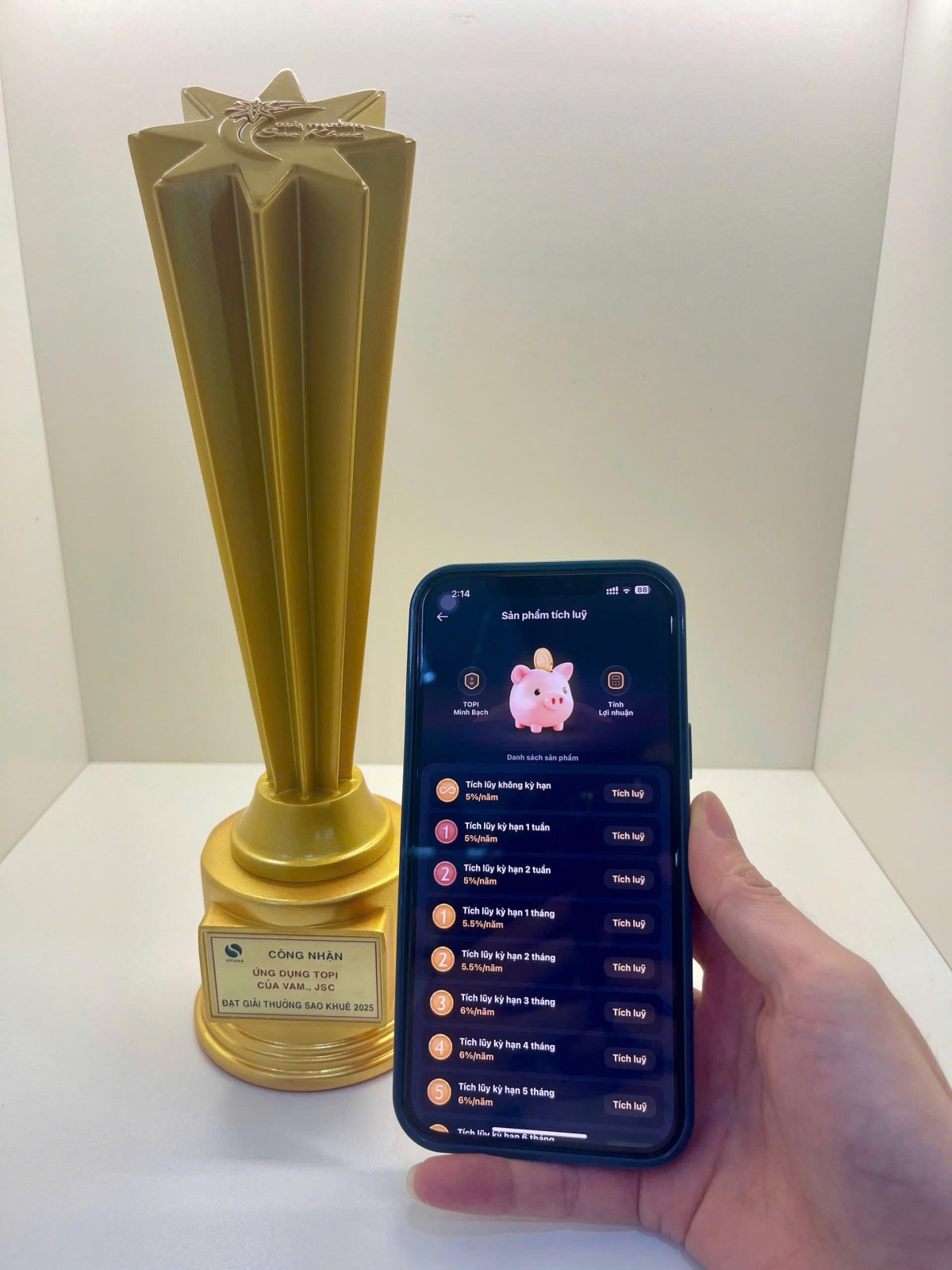 TOPI vinh dự nhận giải Sao Khuê với hạng mục Fintech TOPI vinh dự nhận giải Sao Khuê với hạng mục Fintech