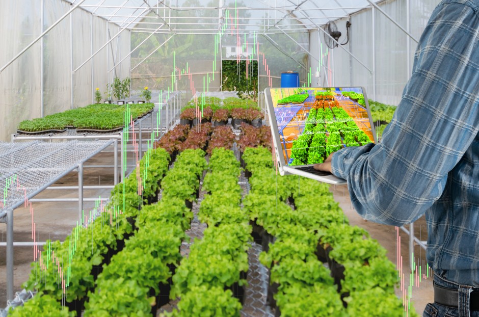 Nông sản sạch, có truy xuất nguồn gốc rõ ràng nên khách thành phố rất ưa chuộng Nông sản sạch, có truy xuất nguồn gốc rõ ràng nên khách thành phố rất ưa chuộng