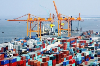 Chuyển quyền để chuẩn hóa quản lý, nhưng không làm gãy mạch xuất khẩu