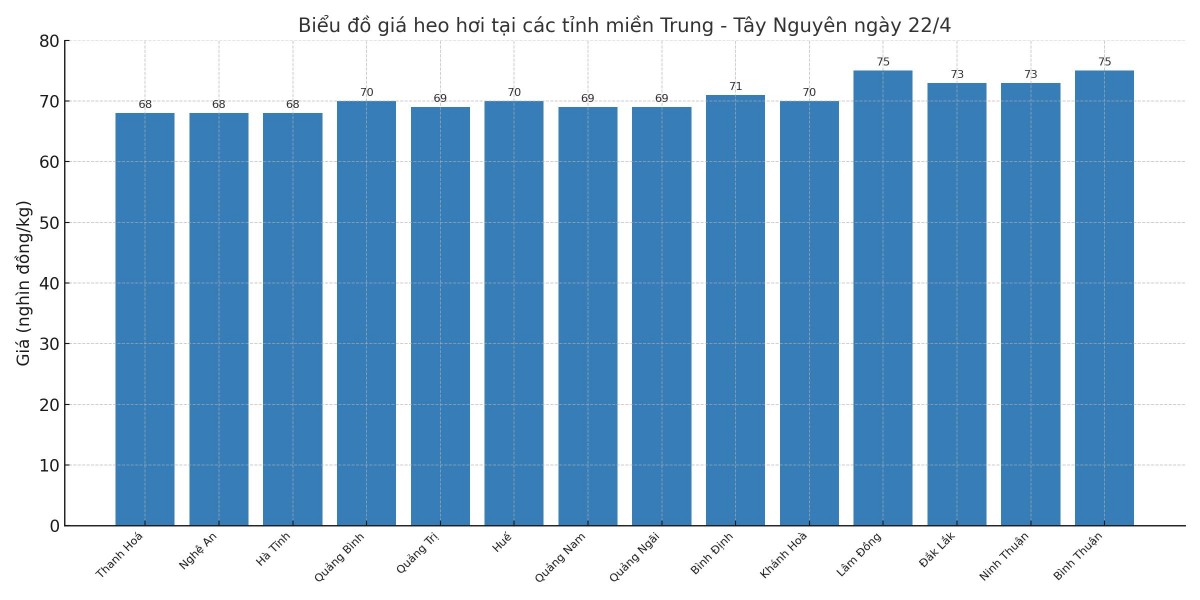 Giá heo hơi hôm nay 22/4/2025: Giá heo hơi hôm nay 22/4/2025: