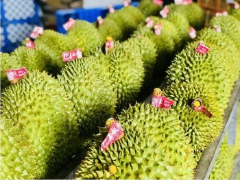 Quý I/2025, xuất khẩu rau quả thu về 1,164 tỷ USD