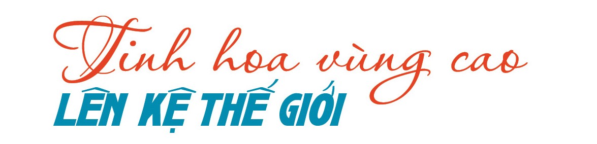 Longform | Nông sản vùng cao ‘chạm’ giấc mơ toàn cầu Longform | Nông sản vùng cao ‘chạm’ giấc mơ toàn cầu