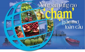 Longform | Nông sản vùng cao ‘chạm’ giấc mơ toàn cầu